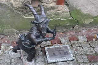 To największy romantyk na Szlaku Lubelskiego Koziołka! Poznajcie Łukasza [ZDJĘCIA]