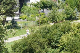 Wakacyjny spacer pod kładką nad wąwozem na Czubach. To jedno z najbardziej zielonych miejsc w Lublinie!