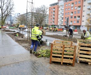  Przebudowa ul. Jana Kazimierza pełna niedoróbek