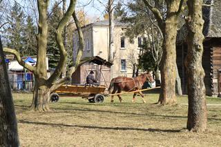 Szukamy wiosny w lubelskim skansenie!