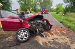 Makabryczny wypadek pod Szczecinem. Rozpędzone auto uderzyło w drzewo. Jedna osoba nie żyje, dwie są ranne