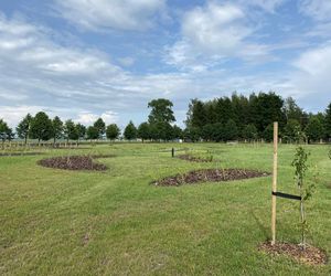 Wyjątkowe miejsce w Wólce Konopnej. Farma toMy dla osób z niepełnosprawnością