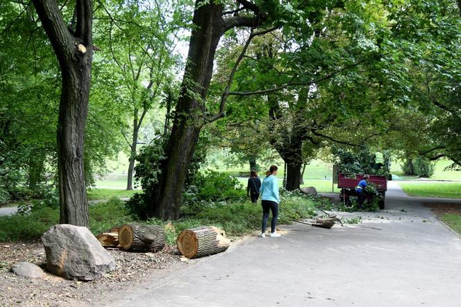 Drzewo zabiło Liliankę w Parku Praskim. Jej rodzice zeznają przed sądem 