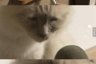 Najlepsze memy przed maturą 2024. Każdy zna to uczucie 