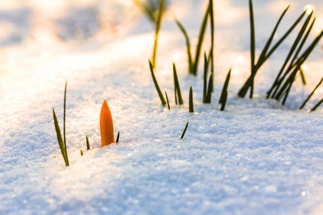 Pogoda na dziś, 15 grudnia. Meteorolodzy o przełomie w Polsce. Tego dawno u nas nie było