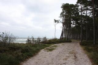 Tu stanie pierwsza w Polsce elektrownia jądrowa. Byliśmy na plaży 