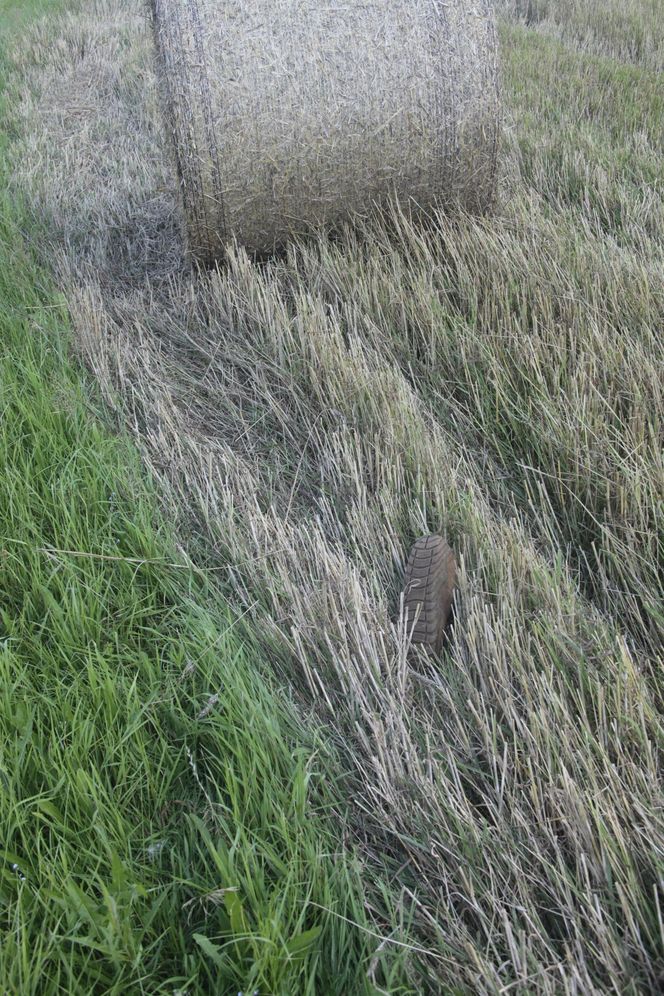 Tragiczne żniwa na Mazowszu. Rolnik wciągnięty przez maszynę.
