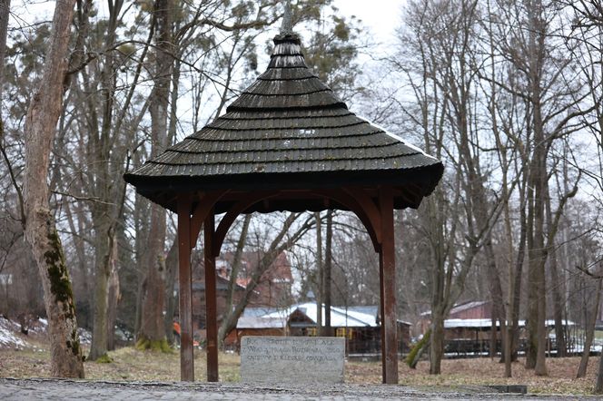 Zimowy spacer po roztoczańskim Zwierzyńcu