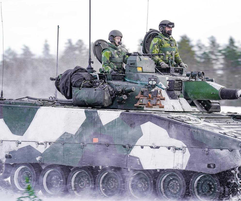 Szwedzka armia 