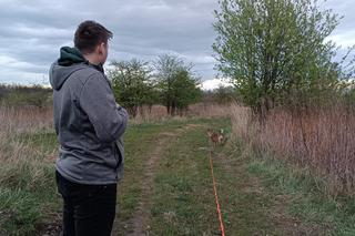 Wały nad Widawą we Wrocławiu. Idealne miejsce na wiosenny spacer we Wrocławiu. Tutaj zapomnisz o pracy