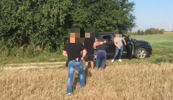 Ganiali się ze złodziejem po polu