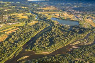 To miejsce w Małopolsce wygląda jak amazońska dżungla. Jest zapomniane przez turystów