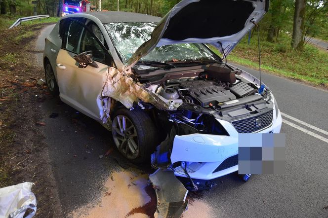 Wypadek koło Gryżyny