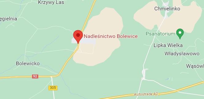 Nadleśnictwo Bolewice