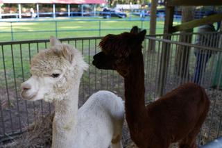 XXVII Jesienne Targi Rolnicze „Wszystko dla rolnictwa”