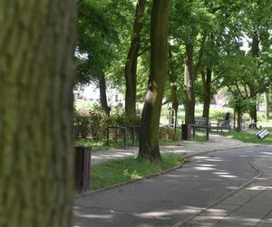 Park Glazja w Toruniu. To tutaj doszło ataku na 24-letnią kobietę