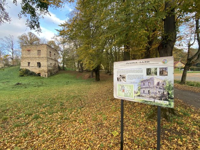 Zamek w Dąbrówce Starzeńskiej