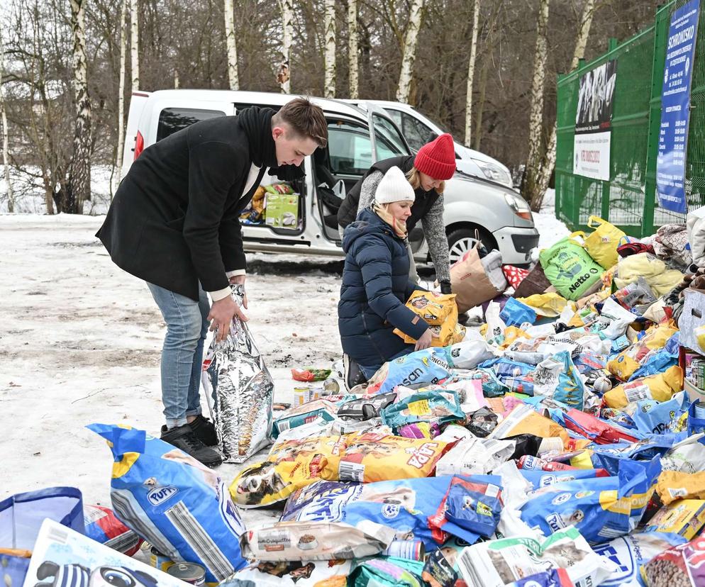 Charytatywnie dla zwierząt w Częstochowie. Udało się zebrać m.in. ponad dwie tony karmy