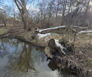 To lewy dopływ Wieprza. Bystrzyca jest największą rzeką przepływającą przez stolicę woj. lubelskiego!