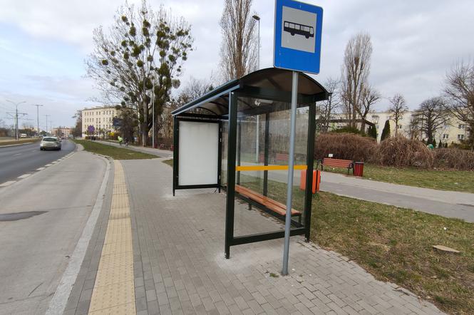 Przystanek, na którym nie staje autobus. Absurd w Toruniu za gigantyczne pieniądze