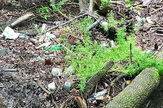 Śmieciobranie-Grapa 2020- kolejna akcja sprzątania rezerwatu Grapa w Żywcu-Zabłociu