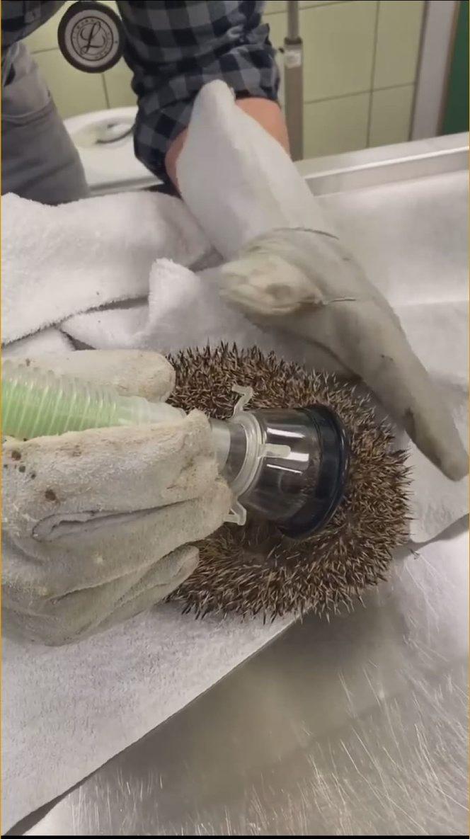 Wściekł się, bo wybudzili go ze snu