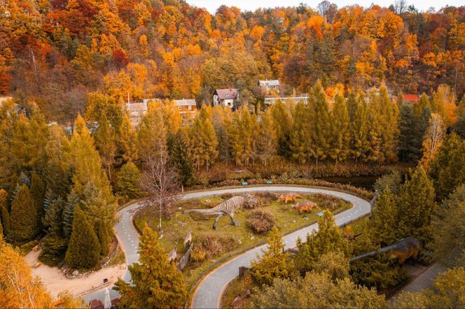 Jura Park w Bałtowie