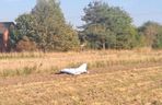 Dron Mniszków