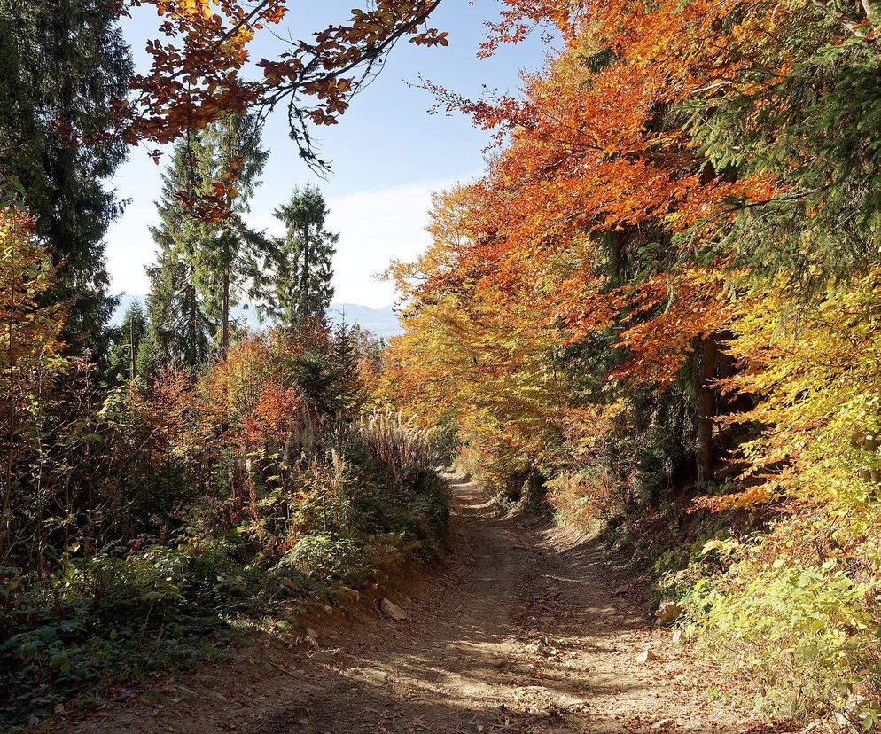 To miejsce w Małopolsce najpiękniej wygląda późną jesienią według AI. Ma status kultowego