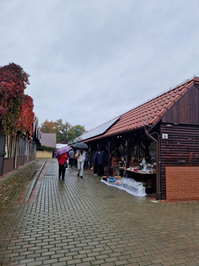 Pchli targ z Pucku. Mimo złej pogody, sporo chętnych. Zobaczcie tylko, co udało nam się kupić!