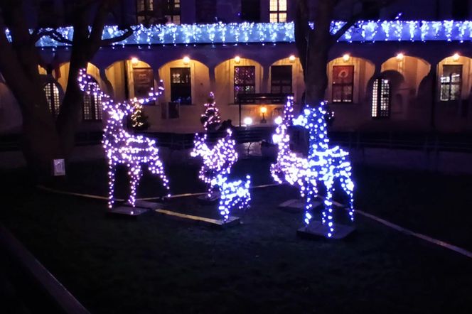 Skromne iluminacje świąteczne w Szczecinie