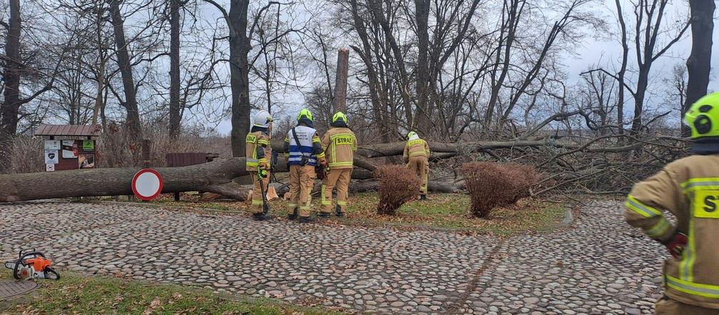 Potężne wichury przechodzą przez Małopolskę. Strażacy interweniowali ponad 120 razy