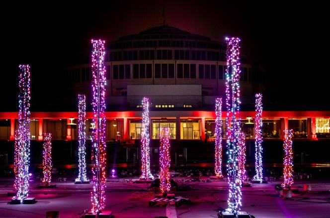 Pergolę warto odwiedzić również zimą! Zobacz pokazy świątecznych iluminacji [ZDJĘCIA]