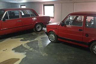 Oszukali ponad stu rolników na miliony złotych! Odbierali zwierzęta, nigdy za nie zapłacili