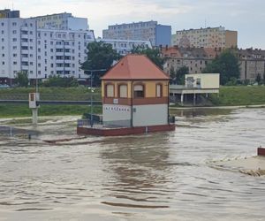 Fala powodziowa we Wrocławiu. Pod wodą są już beach bary i drogi 