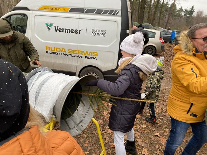 Akcja wycinania choinek w leśnictwie Grodziec