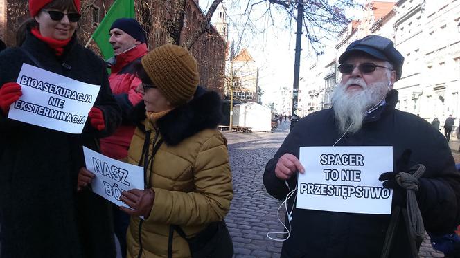 Trwa zbieranie podpisów pod petycją wyłączenia obwodów łowieckich z toruńskich lasów