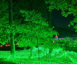 Lumina Park Poznań w święta 