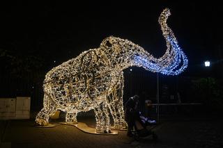 Wystawa Magiczny Botaniczny w Warszawie