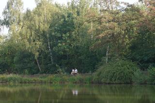 Park Leśny Tetmajera w Bronowicach