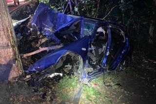 Śmiertelny wypadek pod Kościerzyną! 16- i 18-latek nie żyją [ZDJĘCIA]