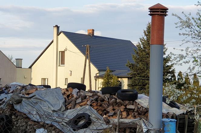 Odciął Arturowi głowę. Z zazdrości o przepiękną Milenę. Przerażające kulisy koszmarnej zbrodni