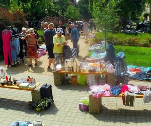 Pchli targ na pl. im. Waleriana Pawłowskiego