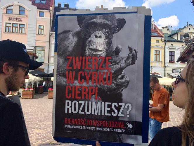 Happening w obronie zwierząt w cyrku [ZDJĘCIA]