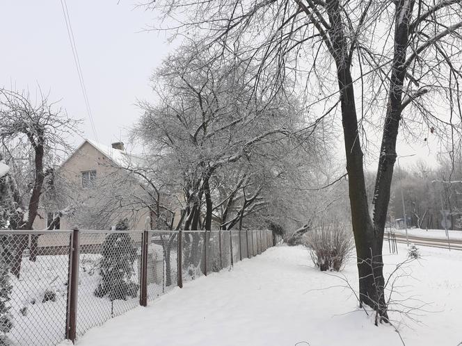 Starachowice w zimowej szacie