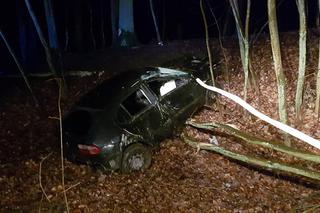 Kierowca wypadł z drogi i wjechał do rowu. Potrzebna była interwencja straży pożarnej [ZDJĘCIA] 