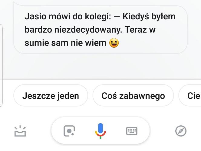 Asystent Google - najlepsze suchary internetowego pomocnika