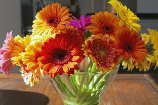 Przedłużanie trwałości kwiatów ciętych: kwiaty o miękkiej łodydze