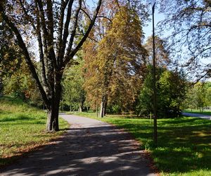 Pierwszy dzień jesieni 2024 w parku Ludowym w Lublinie