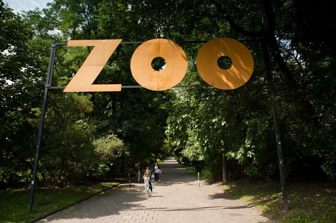 Warszawa Miejski Ogrod Zoologiczny